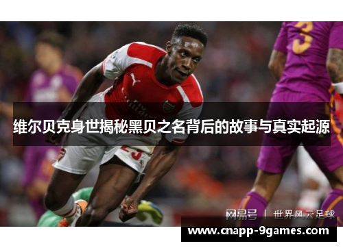 维尔贝克身世揭秘黑贝之名背后的故事与真实起源 维尔贝克身世揭秘黑贝之名背后的故事与真实起源
