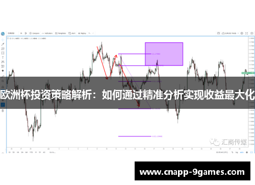 欧洲杯投资策略解析：如何通过精准分析实现收益最大化