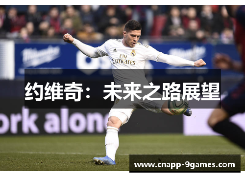 约维奇：未来之路展望